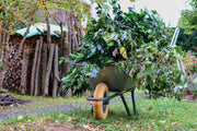 Verde d’Autunno: Cura e Bellezza del Tuo Giardino