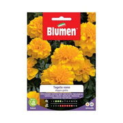 Semi Tagete Nano Doppio Giallo Blumen