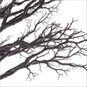 Albero Vienna H230 Nero