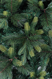 Albero Tauri H210-1236Rami