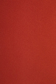 Cuscino Poly180 Rosso Arancio Steamer