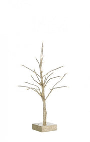 2x Albero Glad Champagne H60