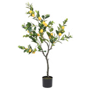 Pianta limone con vaso 198 foglie altezza cm 120