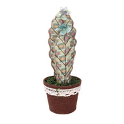 Cactus tessuto verde tondo cmø13h35