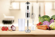 MIXER IMMERSIONE 500W + FRUSTA