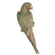 Pappagallo resina oro verde cm12x38x6