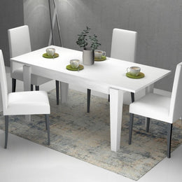 Tavolo allungabile Bianco Larice MEGARON 120/160X80 cm