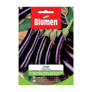 Semi Di Melanzana Lunga In Busta