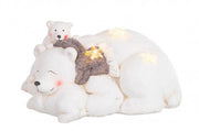 Orso Siberian C-Orsi C-Led