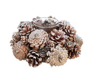 6x P.Candela 1P Frozen To