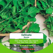 Semi Di Rucola Coltivata In Busta